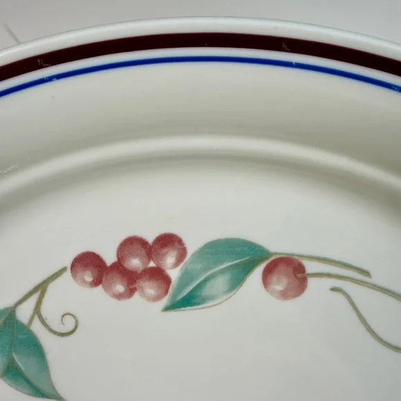 Corelle by Corning Dinner Plates – Country Cottage Fruit – Set of 4 - Picture 8 of 16